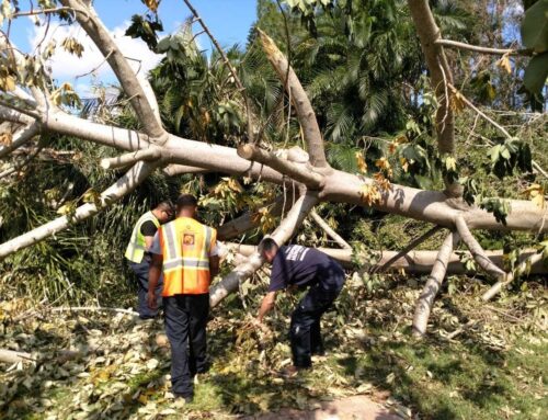 Hurricane Irma Relief Efforts